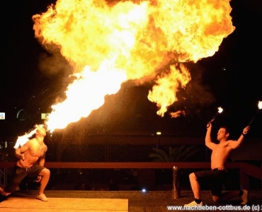 Feuerspucker zum Geburtstag